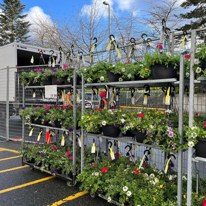 รถเข็นสำหรับใส่พืชแบบเดนมาร์กรถเข็นสำหรับใส่พืชเรือนกระจกสำหรับขนส่งแบบดัตช์ - Product Image 4