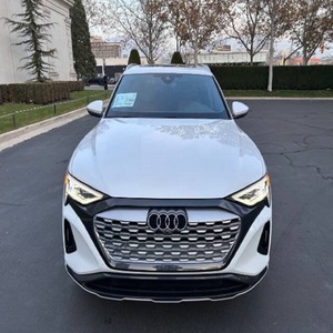 Audi Q8 e-tron 2024 IMPECABLE - Product Image 3
