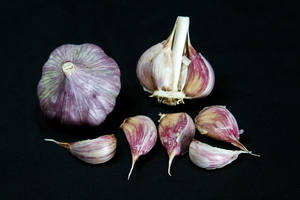 Ajo Orgánico de Alta Calidad de Uzbekistán, Marca Natural Treasure - Product Image 2