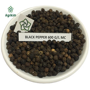 [Échantillon gratuit] Poivre noir en grains au meilleur prix et de haute qualité du Vietnam - Product Image 1
