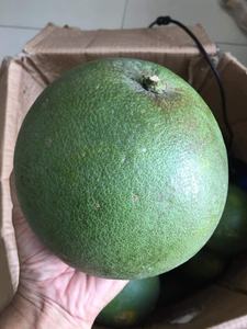 ส้มโอส้มโอผิวสีเขียวเนื้อสีชมพูเลือกได้ดี - Product Image 5