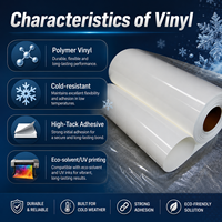 Vinyle adhésif polymère haute adhérence résistant au froid pour autocollants de congélateur