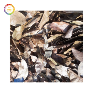 Meilleur prix pour des feuilles de corossol séchées de qualité supérieure, emballées en vrac et séchées avec soin - Product Image 4