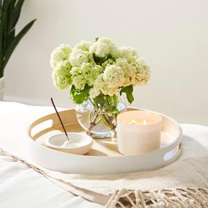 Houseware item set beautiful lacquered spun bamboo <b>tray</b> for kitchen counter decor sustainable <b>storage</b> <b>trays</b> - Product Image 4