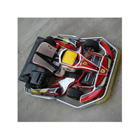 Karting Eléctrico Profesional de Alta Calidad, Nuevo Modelo 2019, 1000W, F1, con Pedales, para Niños y Adultos, Freno Hidráulico, Velocidad de 40 km/h