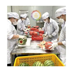 Flash bán đông lạnh dưa hấu Cube OEM đóng gói Dưa nước nhanh chóng đóng băng thái hạt lựu Cube <span class=keywords><strong>iqf</strong></span> dưa nước sản phẩm tại Việt Nam - Product Image 3