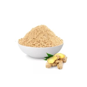 Poudre de gingembre pur de haute qualité, séchée naturellement, épice brute broyée pour plats culinaires, pâtisseries et boissons rafraîchissantes - Product Image 1