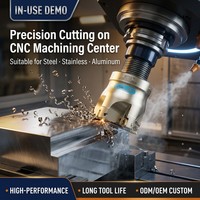 Outils de plaque de fraise à épaulement à angle droit indexable CNC AHUB10R fraise en bout personnalisable avec support ODM/OEM