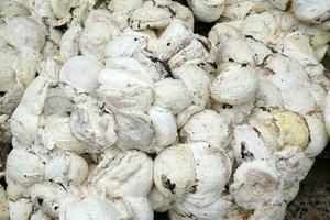 Caoutchouc naturel en bloc pour moulage - Product Image 5