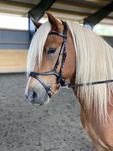 Bride de cheval en cuir anatomique noir brillant, résistante à l'usure, réglable, équipement personnalisable, design international, marque Rub - Product Image 3