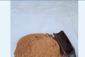 Poudre d'écorce et de feuille de joss litsea glutinosa poudre de coquille rouge 36 tasses - Product Image 5