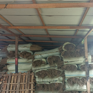 Escobas de Palma indonesias Sapu Lidi para limpieza del hogar y al aire libre - Product Image 3