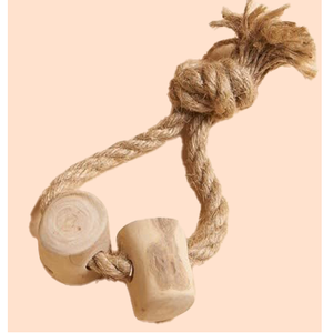 Viet Nam café bois bâtons à mâcher 100 pièces quantité minimale de commande café bois et noix de coco corde canne à sucre bâtons avec corde dans l'emballage en Carton - Product Image 2