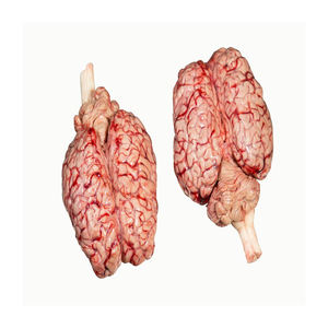 ขายดีที่สุด100% ทั้งหมดเนื้อสมองธรรมชาติ - Product Image 5