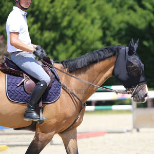 ผ้าคลุมหน้าม้าคุณภาพสูง ปี 2026 ป้องกันแมลงวัน ระบายอากาศได้ดี รับทำโลโก้ส่วนตัว สำหรับผ้าคลุมหน้าม้า โดย Alexandria Industries - Product Image 4