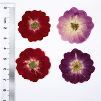 Roses séchées pressées et mini-fleurs de rose, pour la fabrication de bijoux en résine époxy DIY, ornements floraux séchés, cadeaux artisanaux pour les fêtes
