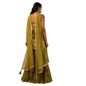 Abito Sharara in velluto verde muschio con ricami floreali Multicolor per donne abiti da cerimonia nuziale abiti etnici firmati - Product Image 6