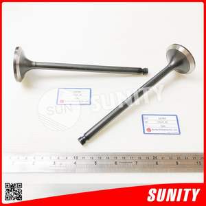 Sunity ไต้หวันสำหรับ6AYM ดีเซล6AYM ใน148620-11100วาล์ว6AYM EX 148620-11110 - Product Image 2