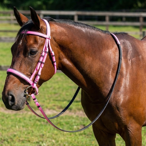 Brida de Cuero Premium para Caballo |   Ajustable y Duradero |   Ajuste Cómodo para Todos los Caballos |   Perfecto para Entrenamiento y Equitación - Product Image 2