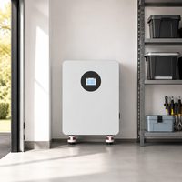 Système de stockage d'énergie domestique tout-en-un AC avec batterie LiFePO4 Tianon 51,2 V 16 kWh et BMS IP21, fabriqué en Chine