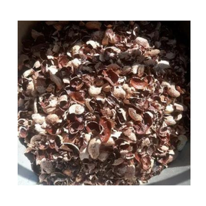 Cáscara de anacardo de un buen proveedor vietnamita listo para exportar en 2024 - Product Image 5