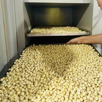 Gedroogde Lotuszaden Groothandel Uit Vietnam-Export Van Bulkvoorraad Van Topkwaliteit