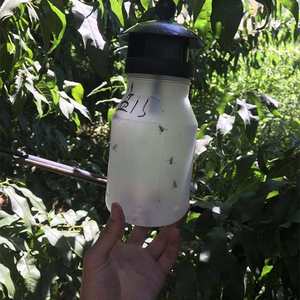 Trappola della mosca della frutta per il controllo dei parassiti-soluzione efficace per gestire i moscerini della frutta - Product Image 4