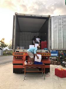 Chips de tapioca congelés de haute qualité/manioc/poudre pour l'alimentation du Vietnam avec un prix compétitif - Product Image 5