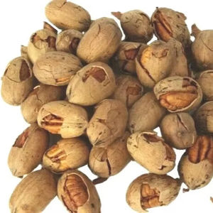 <b>Pecan</b> <b>Nuts</b> available snack producers bakeries and bulk distributors - Product Image 1