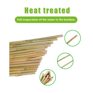 Ensemble de 25 piquets de plantes de bambou naturel pour tomates, fleurs, plantes grimpantes pour jardins d'enfants - Product Image 4