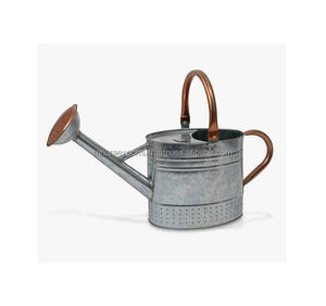 Diseño estándar Decoración del hogar Decoración de jardín Hierro Regadera antigua Jardín Caña de agua para interiores y exteriores - Product Image 2