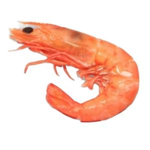 Cooked Frozen <b>Shrimps</b> High-quality Cooked Frozen <b>Shrimps</b> in Vietnam Hot <b>Sale</b> Cooked Frozen <b>Shrimps</b> - Product Image 2