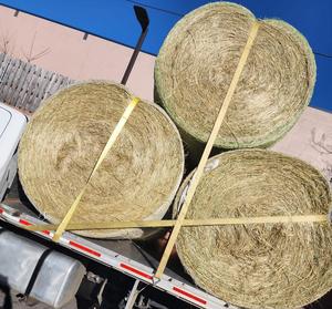 หญ้าชนิตสำหรับม้าและวัวควายอาหารสัตว์อายุการเก็บรักษา12เดือนบรรจุในถุง - Product Image 6