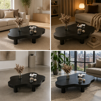 Table basse RH Irregular Cloud avec pieds sphériques, table d'appoint moderne minimaliste pour salon, table basse rustique