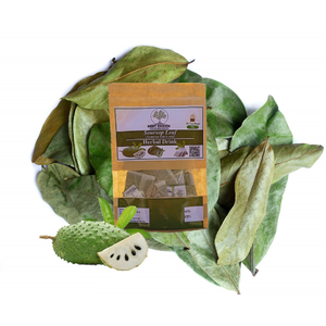 เกรดอินทรีย์ sourcop ใบถุงชา-graviola-สารกำจัดศัตรูพืชฟรี - Product Image 3