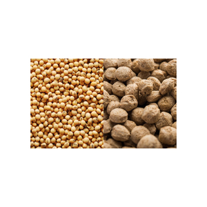 New Crop Low Price <b>Multifunctional</b> Nutritional Soybeans Soybeans Bulk Dried Soybeans - Product Image 2
