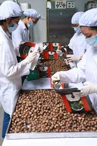 Ly Son Ail noir doux doux et riche en antioxydants idéal pour l'exportation - Product Image 6