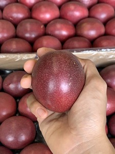 Vente en gros de fruits de la passion Bon service Emballage personnalisé frais et juteux - Product Image 2