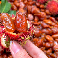 Vietnamese biologische zacht gedroogde rambutan met natuurlijke zoete smaak, AD-proces waterconservering, bulk export tegen concurrerende prijs