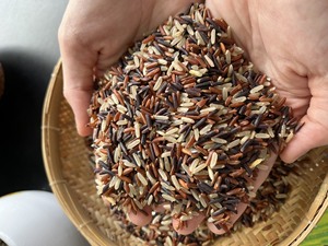 Biologique-Riz sain mélangé de 3 types Vente en gros à l'export | Riz brun riz rouge riz noir | WS + 84931615449 (Mme Sophie) - Product Image 3