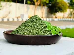 T CUT Herbal Extract Moringa Leaves Wild-Prix sain cultivé en provenance d'Inde - Product Image 4