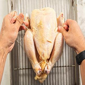 Pollo Congelado Halal Entero de Primera Calidad, 5 kg, Entrega Rápida Disponible, Ideal para Exportación, Nutritivo de Primera Calidad - Product Image 6