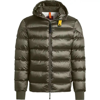 Chaqueta Acolchada Impermeable con Capucha y Cremallera, Personalizada con Logotipo, para Hombre, Informal, de Invierno, en Varios Colores
