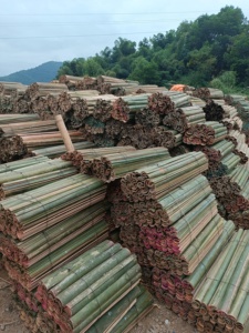 Bambú escupido de 20 "| Exportación a Pakistán a buen precio desde Vietnam - Product Image 6