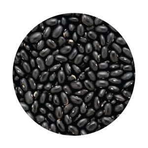 Haricots noirs naturels en vrac, haricots noirs de qualité supérieure, frais, sains, biologiques, qualité supérieure, directement des fournisseurs agricoles - Product Image 4