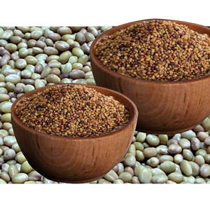 Berseem Clover | Forraje nutritivo para ganado vacuno y ovino - Product Image 3