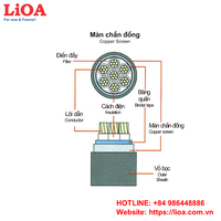 Le câble de commande examiné par cuivre de LiOA DVV/Sc-30xC-0.6/1kV 30 noyaux a protégé la diverse zone nominale noire résistante à la chaleur de conducteur