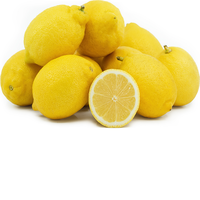 Citron frais 100% naturel, qualité supérieure, origine Thaïlande, qualité alimentaire, 10 cm, 0,2 kg