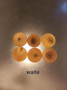 Bouton en corne de buffle pour marques haut de gamme, bouton en corne pour la décoration de revers de veste, bouton en corne brute pour artisans à prix avantageux - Product Image 5