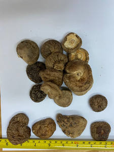 Champignon Shiitake séché naturel du Vietnam avec un prix compétitif - Product Image 4